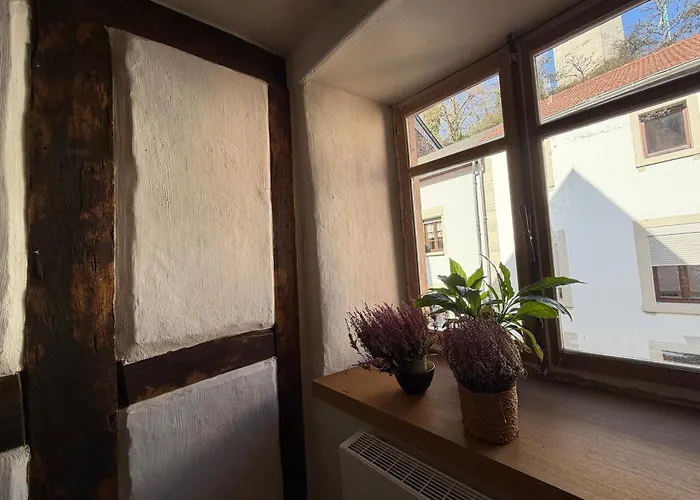 게스트하우스 Our Hippie Castle - Unique Bohemian For Up To 10 Guests 비안덴